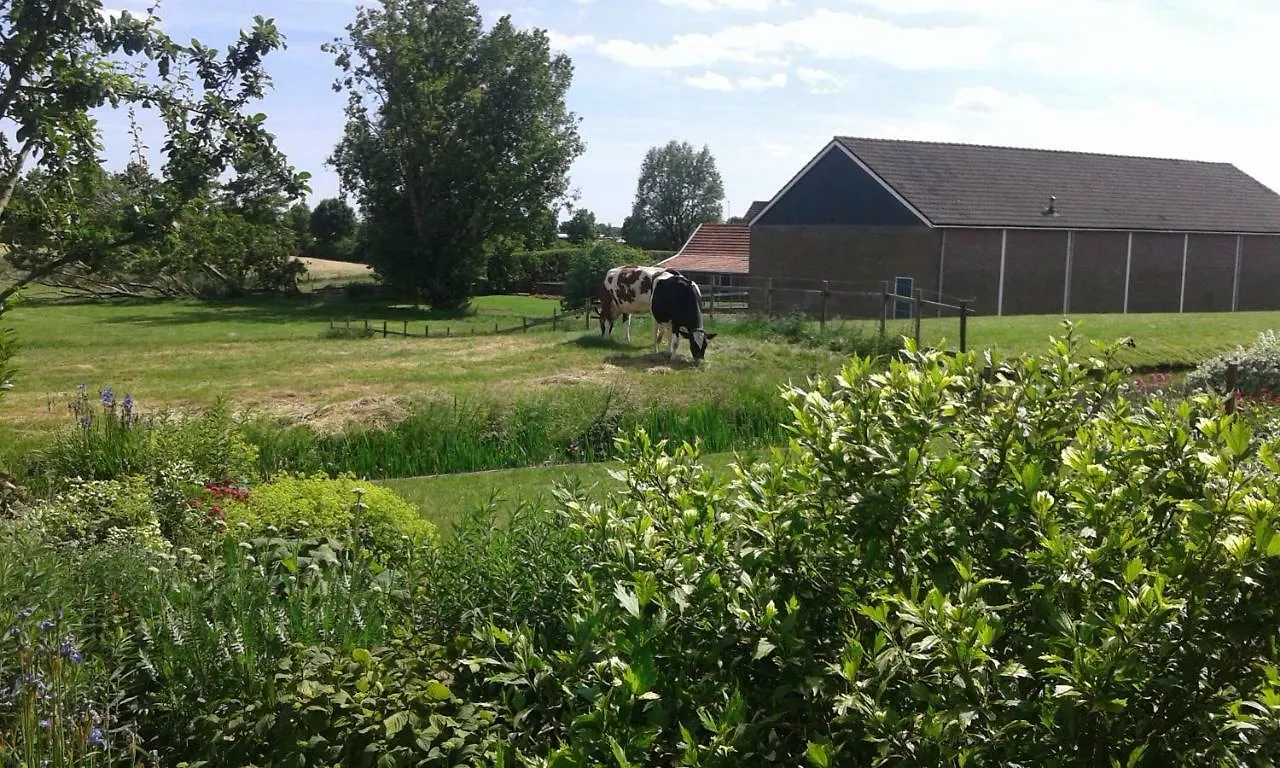 Bbwesteinder Vof Kudelstaart